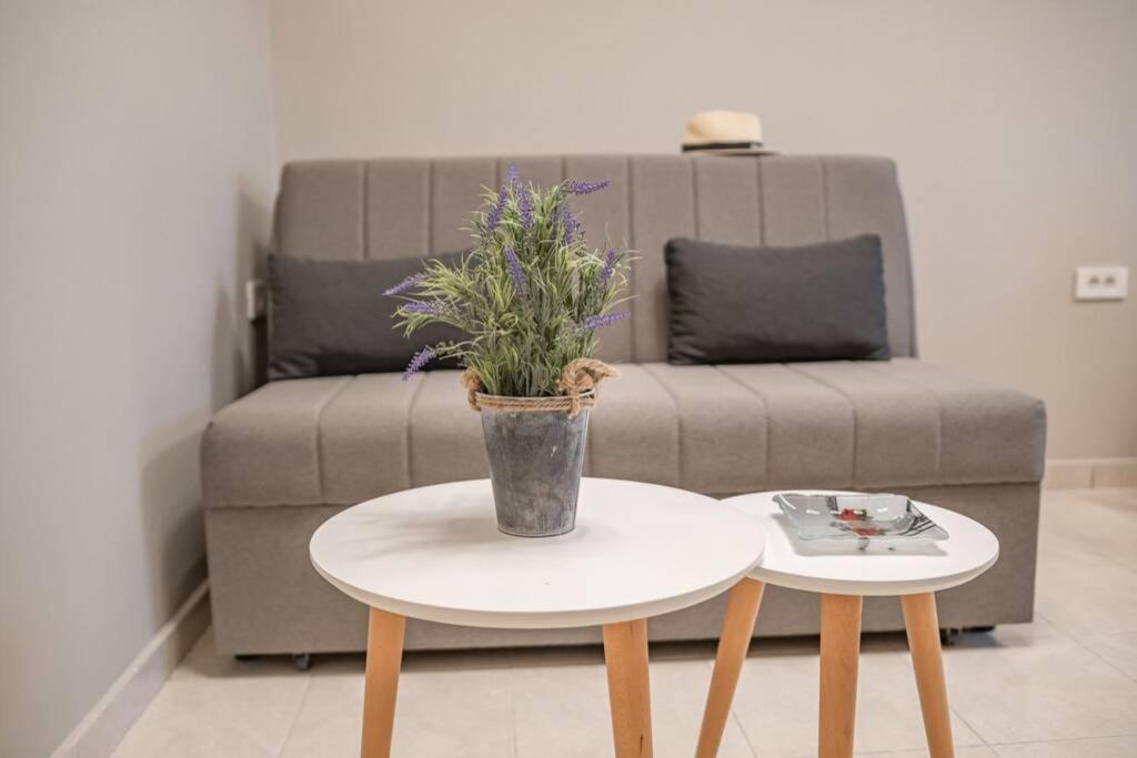 El Sueno De Zante 2Nd City Center Apartments Екстериор снимка